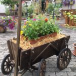 Bollerwagen mit Sommerblumen